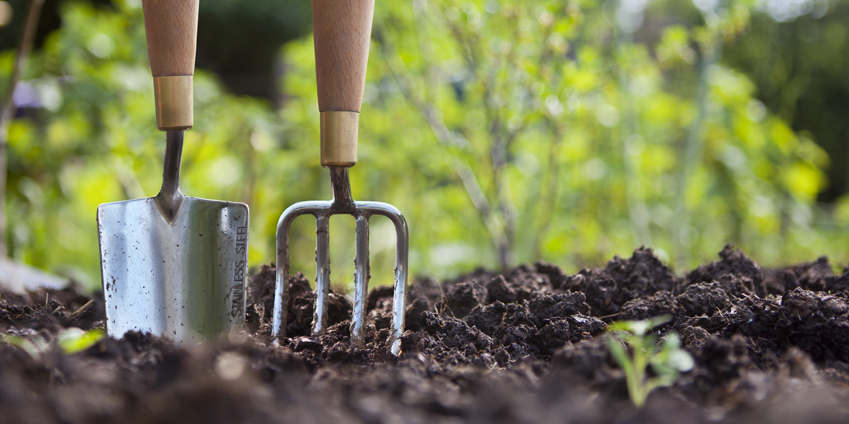 II. Importance of Properly Maintaining Garden Tools